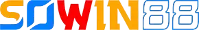 Sowin1
